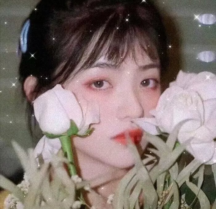黑色月光粤语